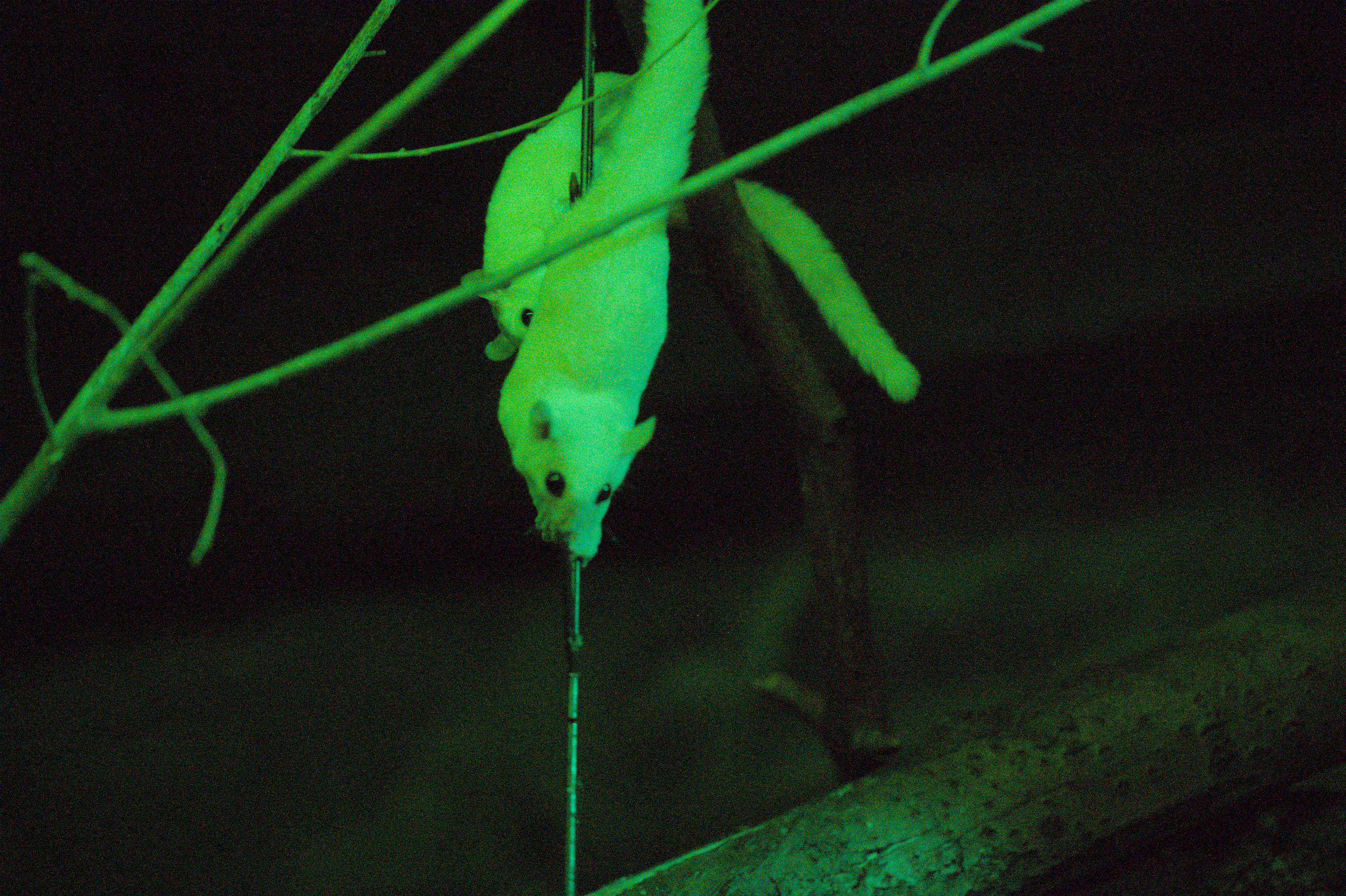 2025/10/12 - zoo/DSC_0256.jpg